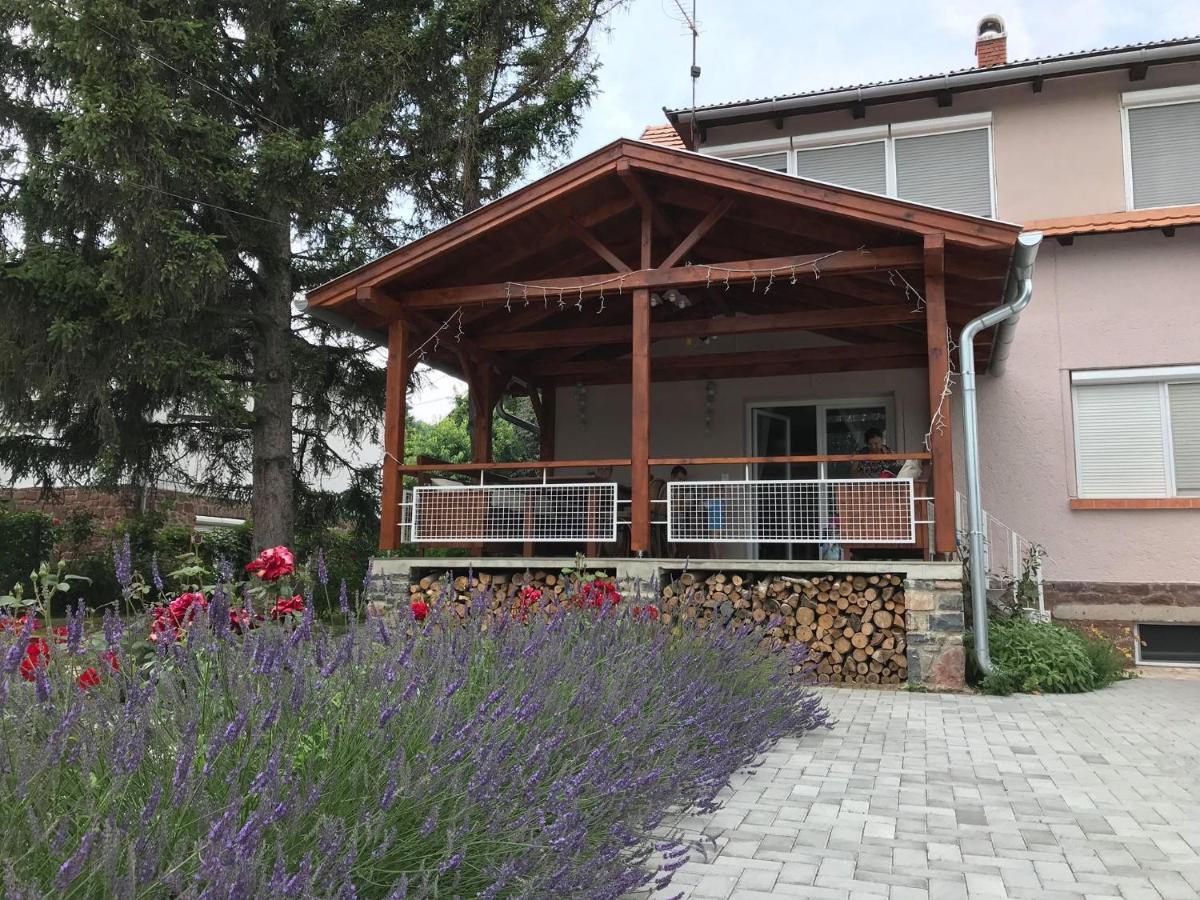 Kishableány Apartmanház Badacsonytomaj Kültér fotó